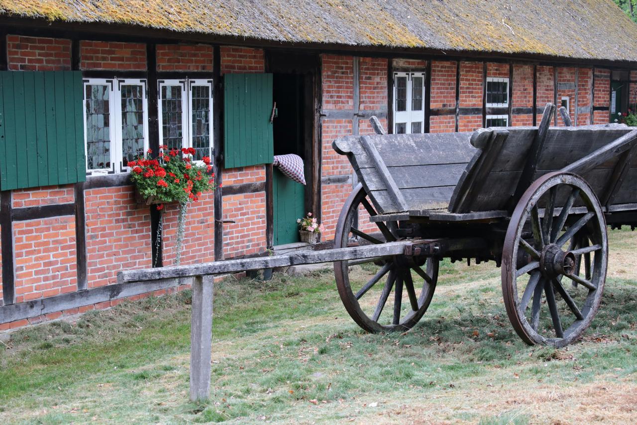 Ferienwohnungen / Ferienhaus Wahlers Bispingen Exterior foto